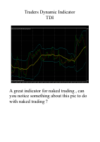 tdi_naked.pdf